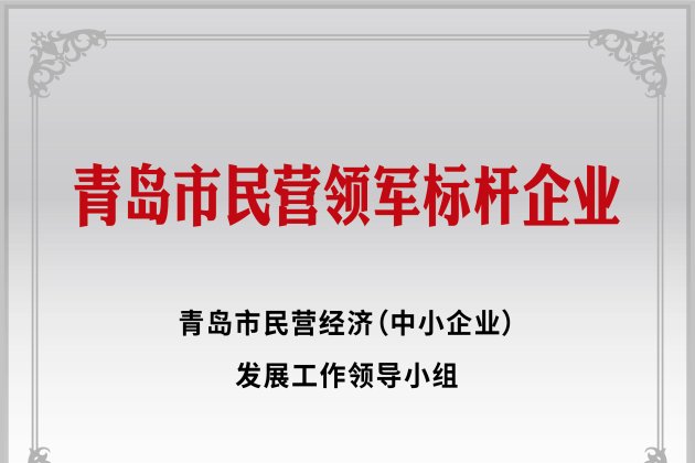 青島市民營領軍標桿企業(yè)